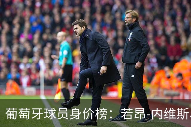 葡萄牙球员身价榜：若昂-内维斯、维蒂尼亚1.4亿欧并列第一
